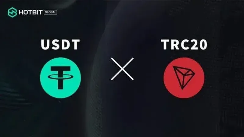 TRC20 vs ERC20 USDT 轉帳費用與速度全解析