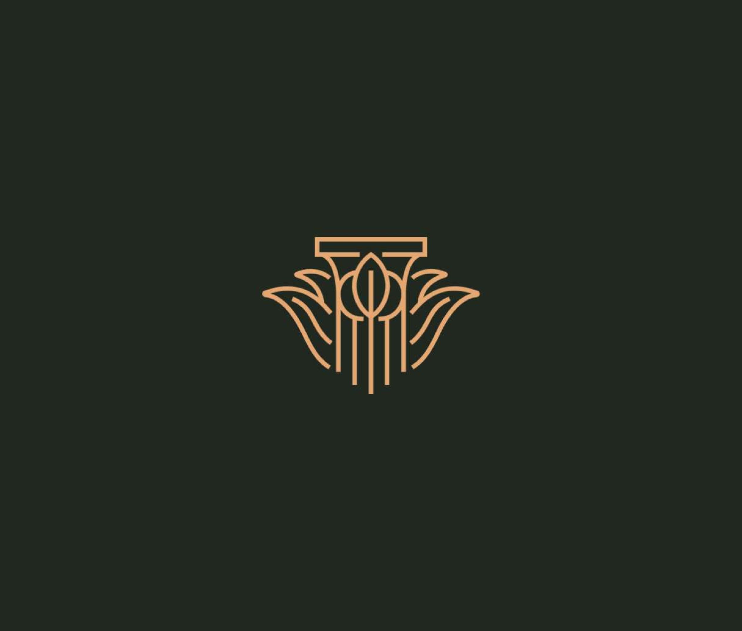 Palmehaven logo on dark green background