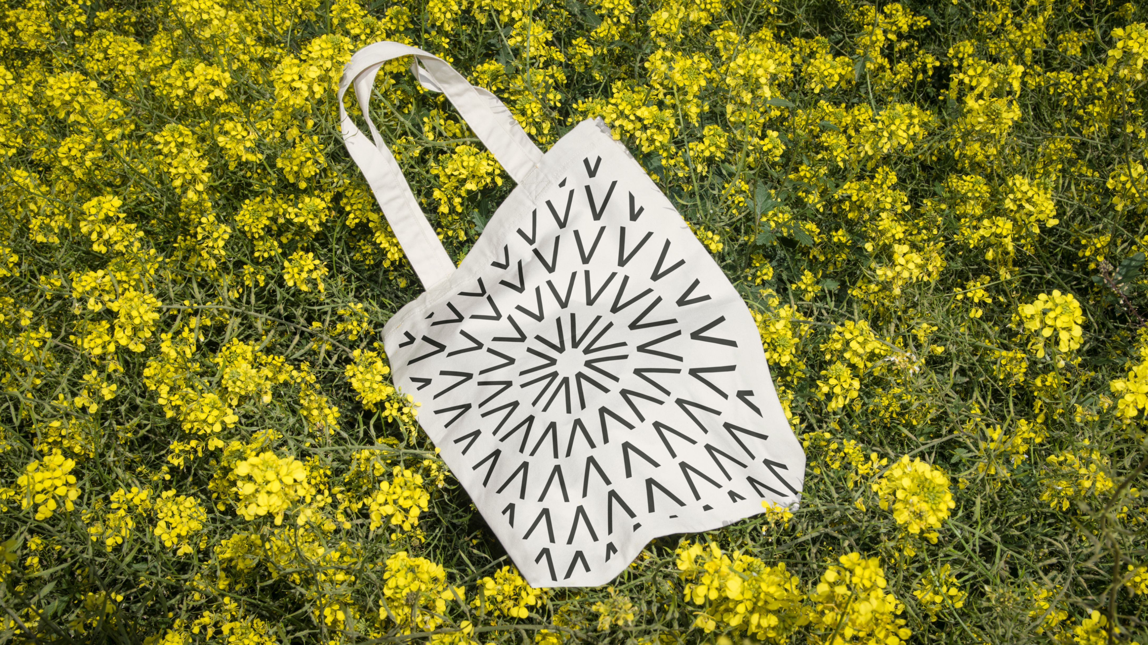 Nonspace-Vilda-identity-design-merch