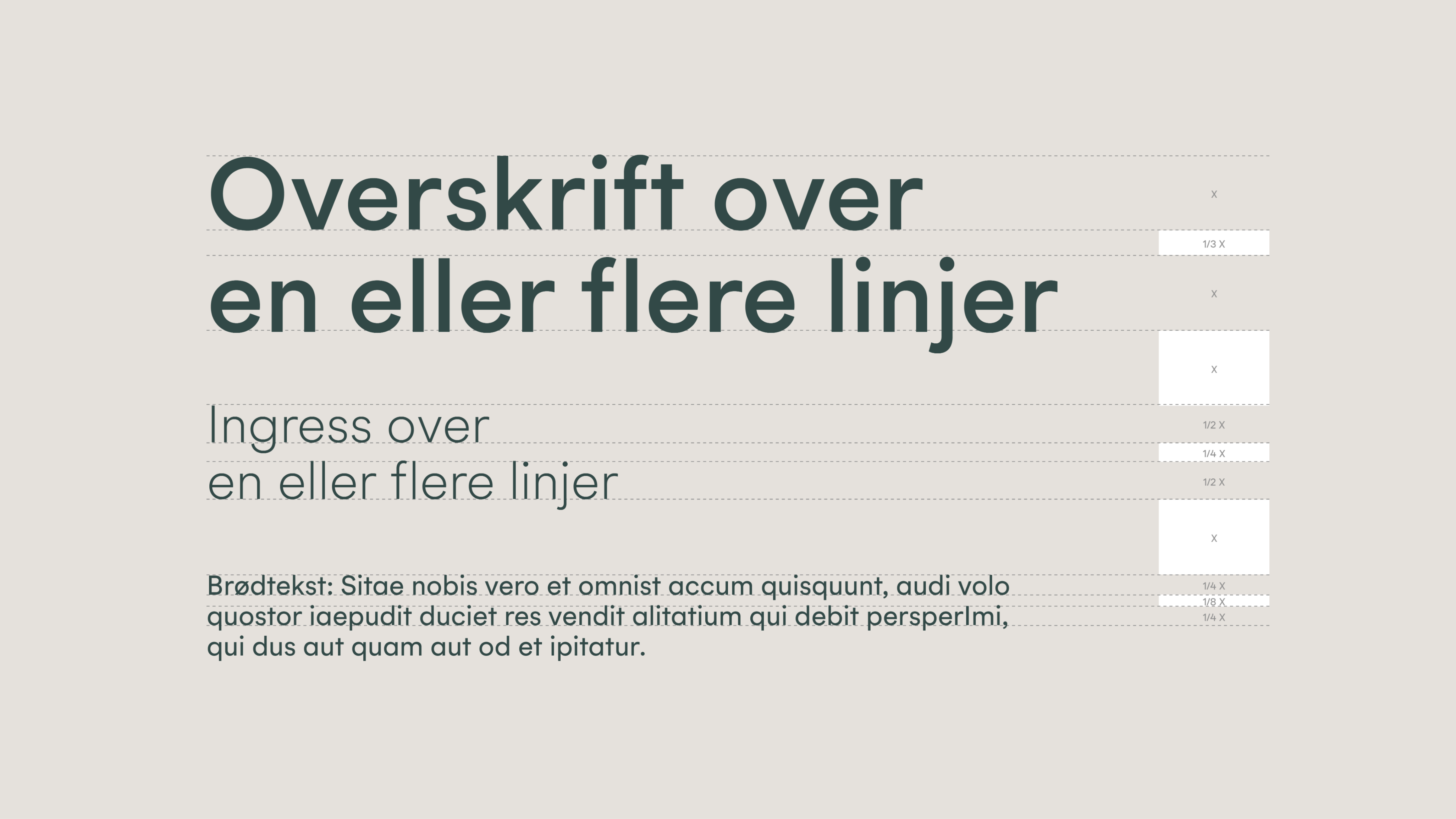 Typography. Hierarchy 