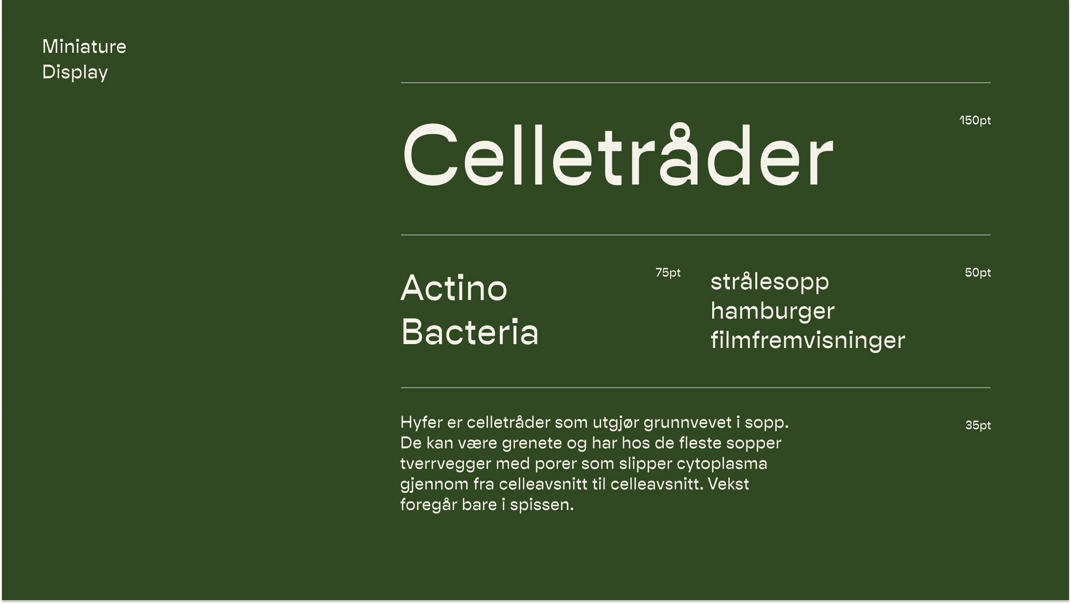 Nonspace_Hyfer_Typografi