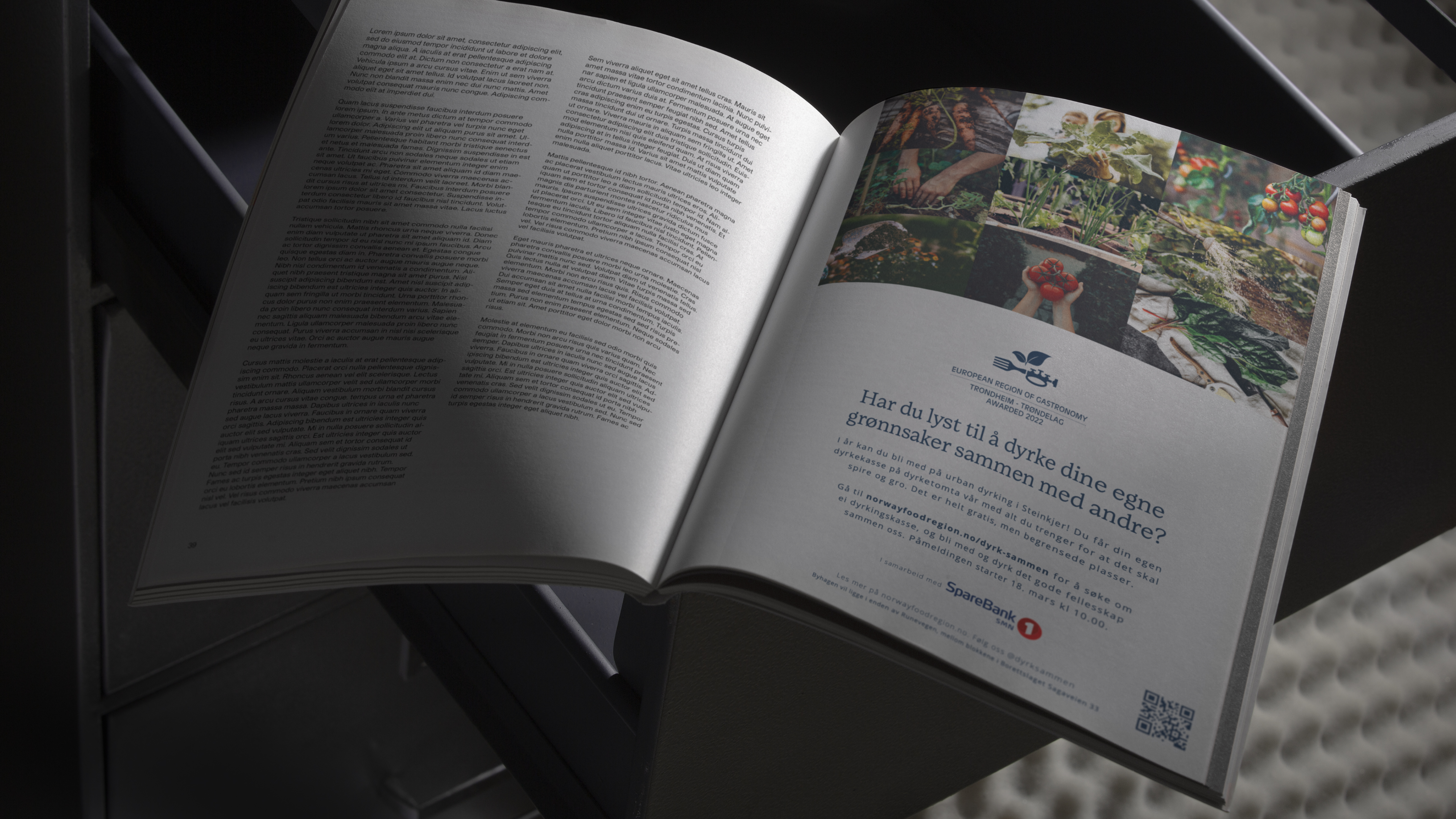 Printed ad in a magazine