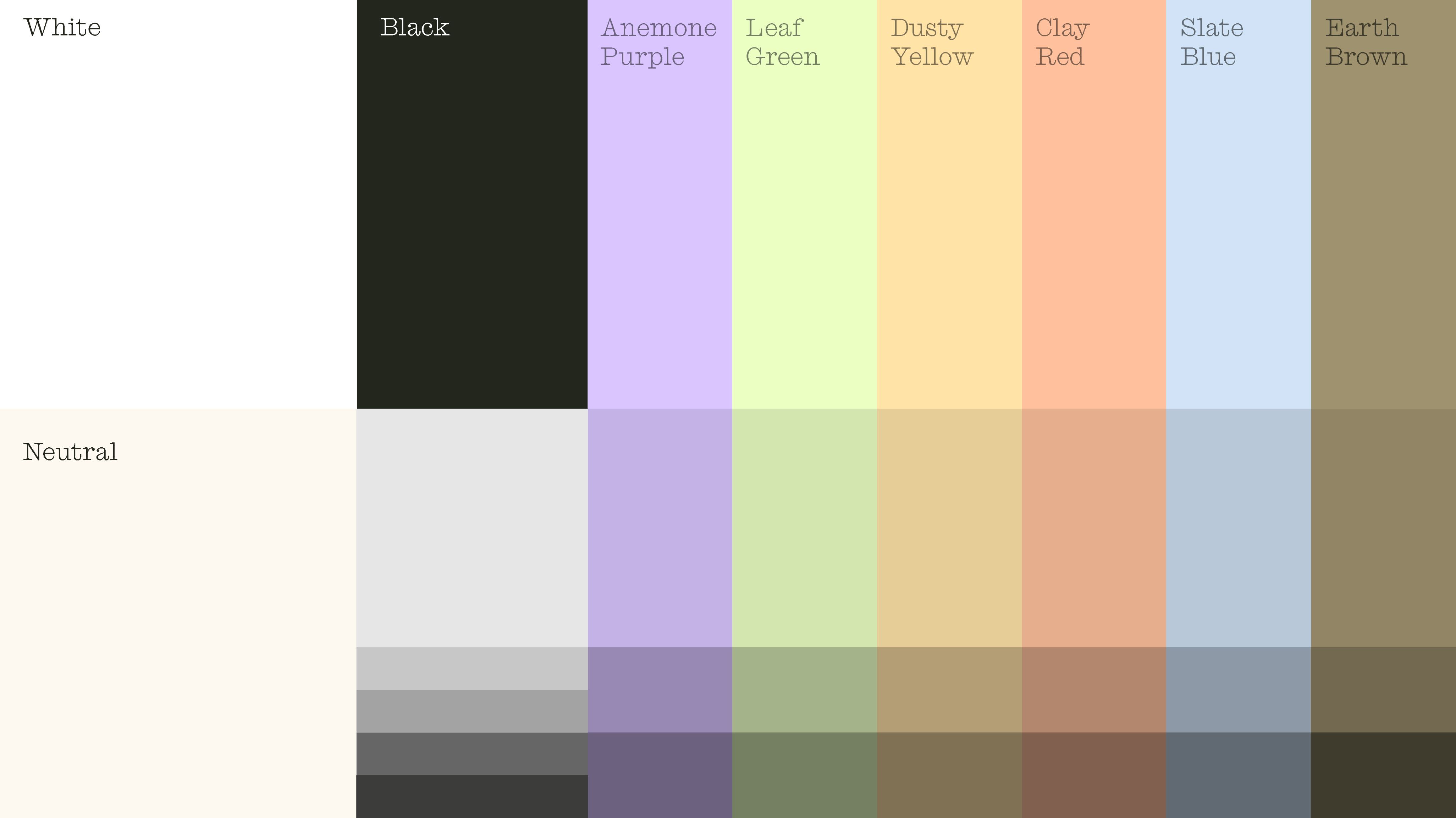 Nonspace-Vilda-identity-design-colours