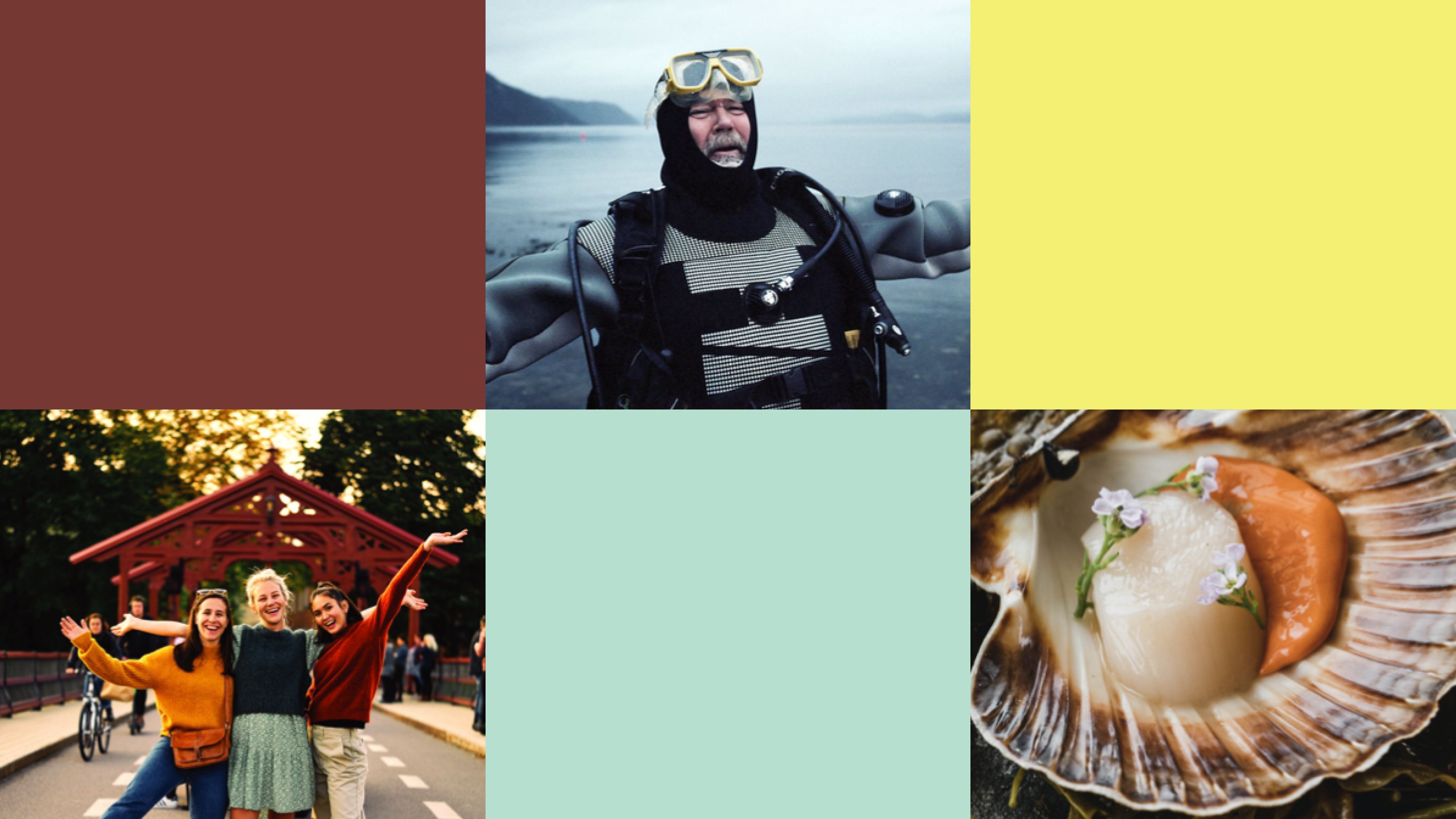 Visit Trondheim Colours