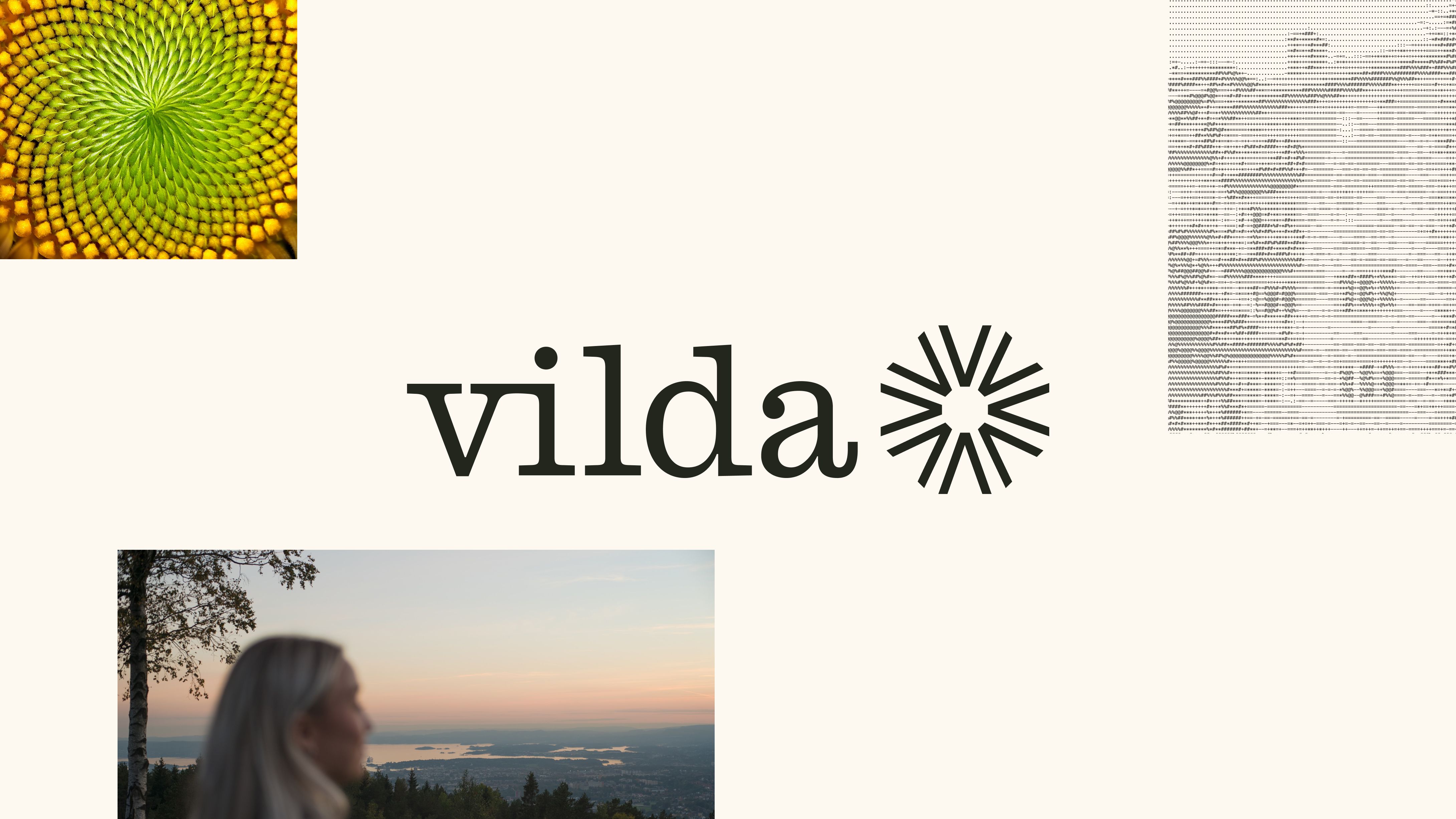 Nonspace-Vilda-identity-design