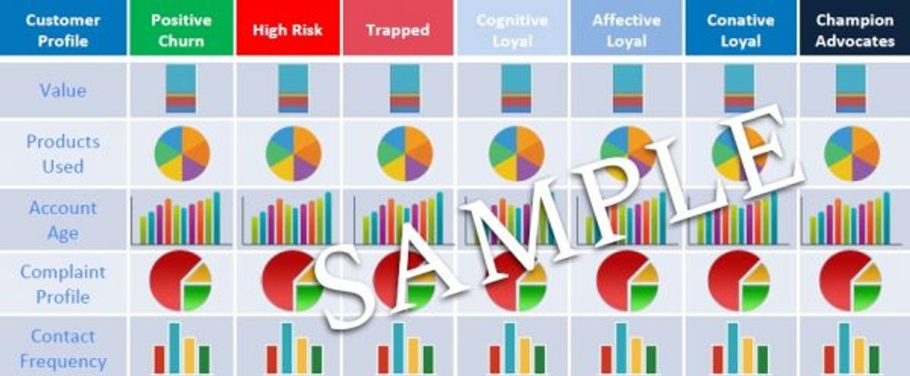         Sample infographic illustrating customer profiles such as Positive Churn, High Risk, and Champion Advocates. Includes pie and bar charts displaying data on values like Products Used, Account Age, and Contact Frequency for each profile category, based on our loyalty research.
