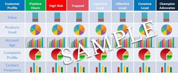 Sample infographic illustrating customer profiles such as Positive Churn, High Risk, and Champion Advocates. Includes pie and bar charts displaying data on values like Products Used, Account Age, and Contact Frequency for each profile category, based on our loyalty research.