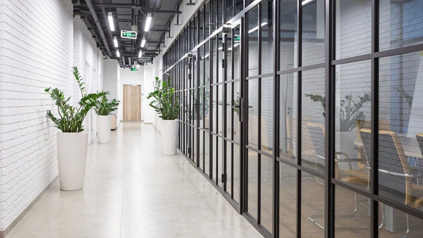 A long office corridor with glass-walled meeting rooms along one side and planted alcoves along the other.