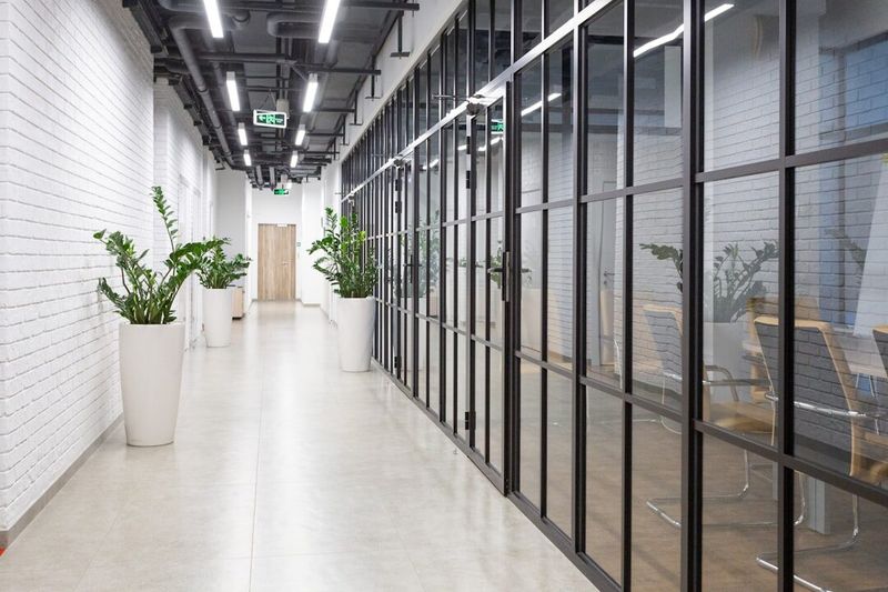 A long office corridor with glass-walled meeting rooms along one side and planted alcoves along the other.