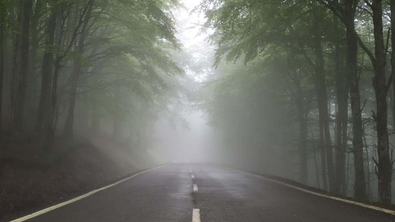 A road vanishing into fog — the uncertainty VUCA and BANI describe but don't resolve