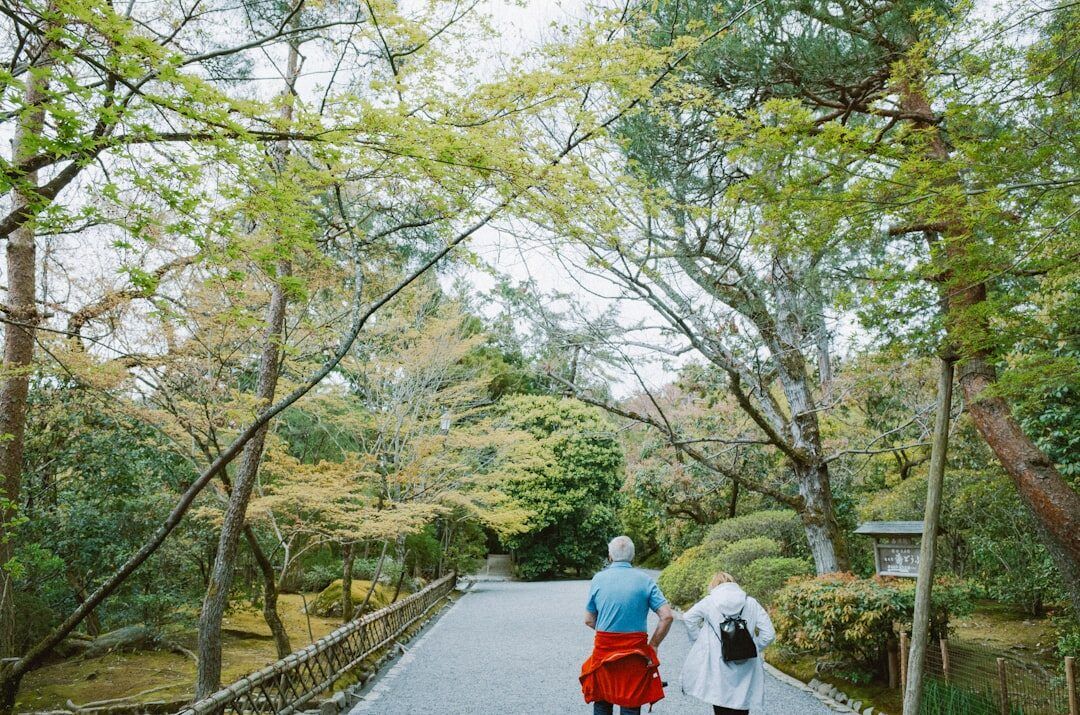 Two people walking together along a tree-lined path through a quiet park.