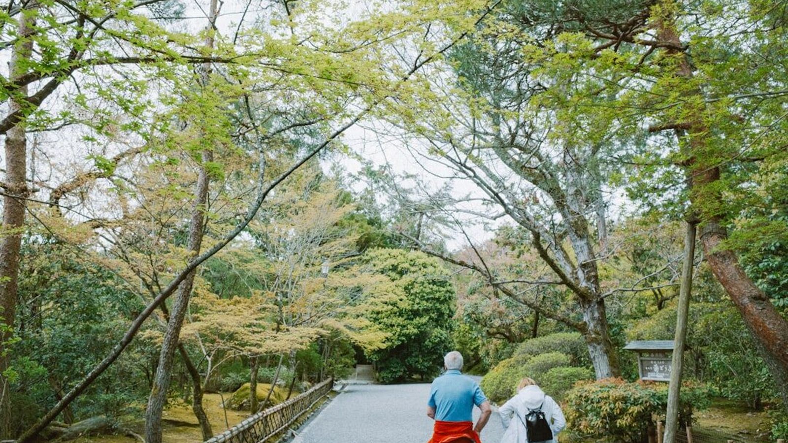 Two people walking together along a tree-lined path through a quiet park.