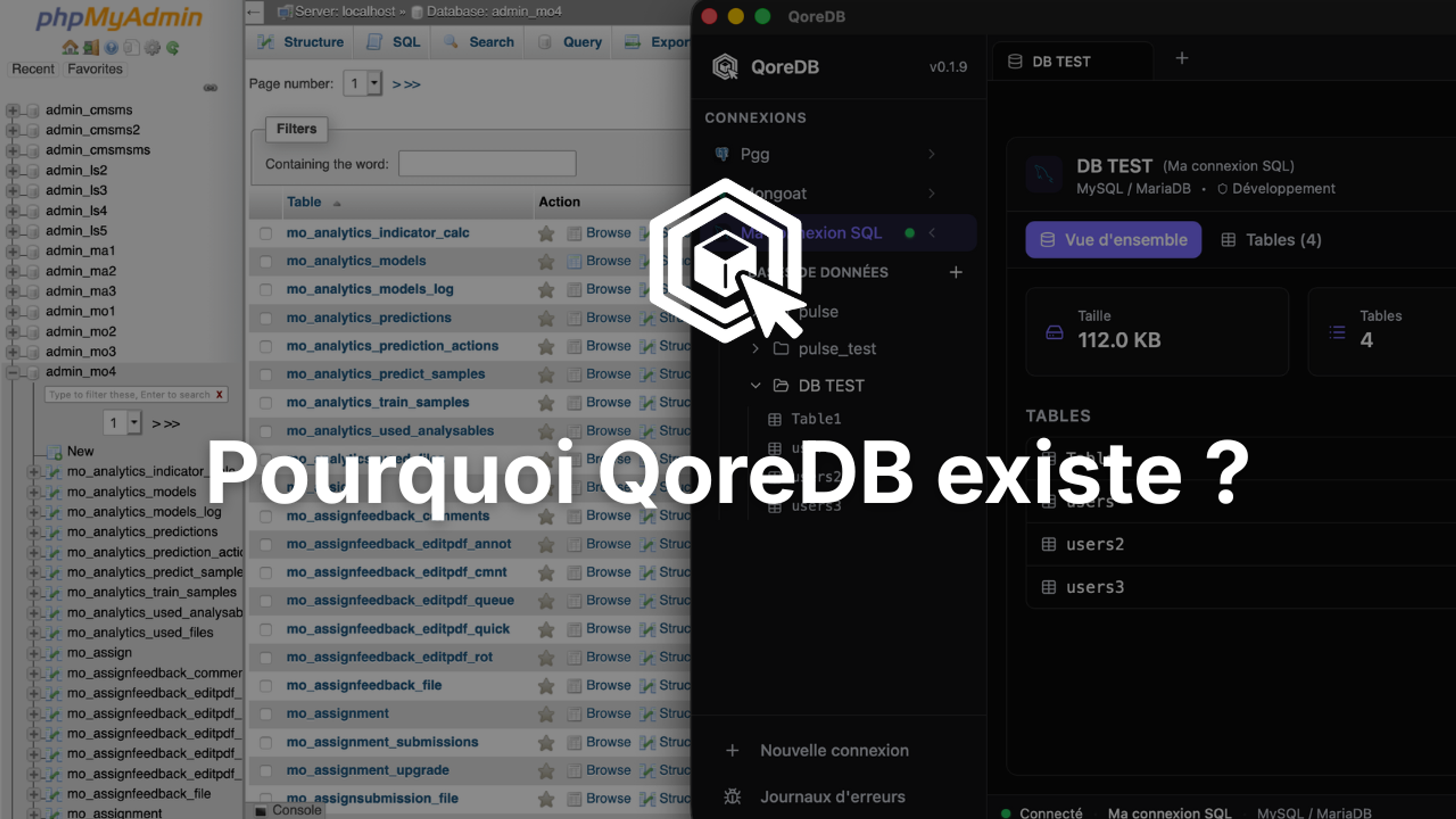 Pourquoi QoreDB existe ?
