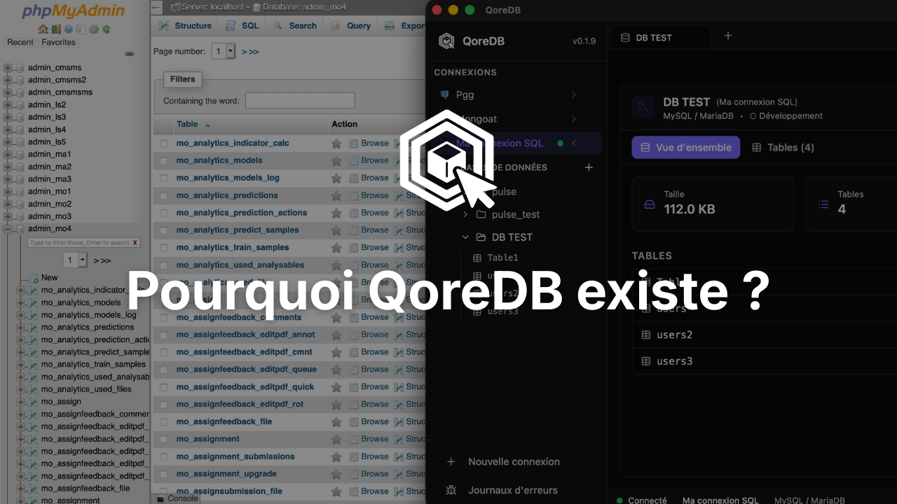 Pourquoi QoreDB existe ?