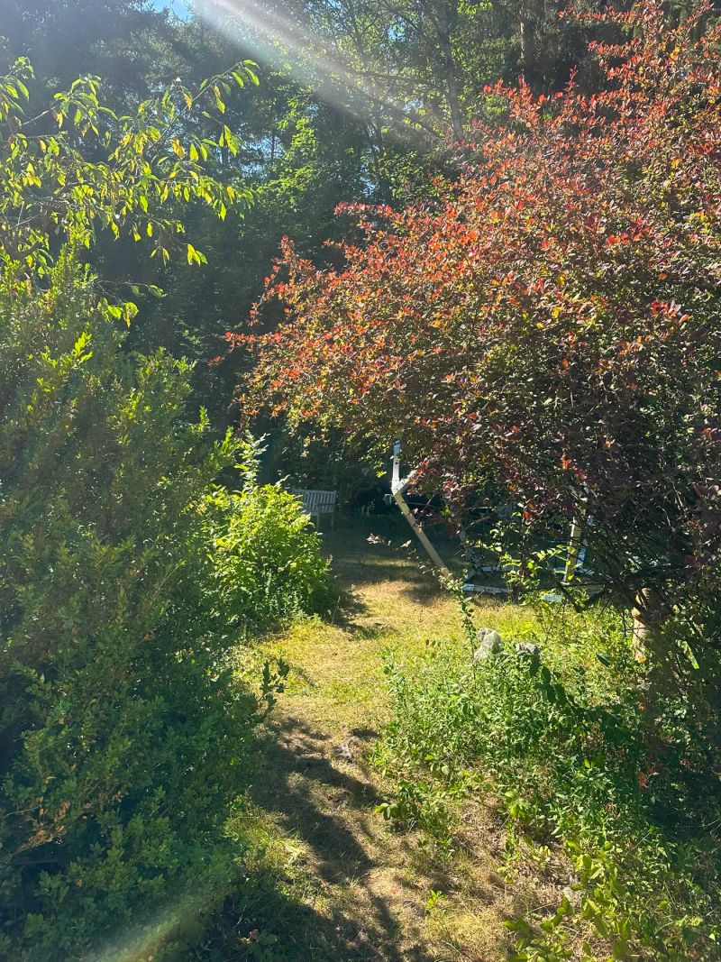 Elmuria · Singkreis im Wandelgarten