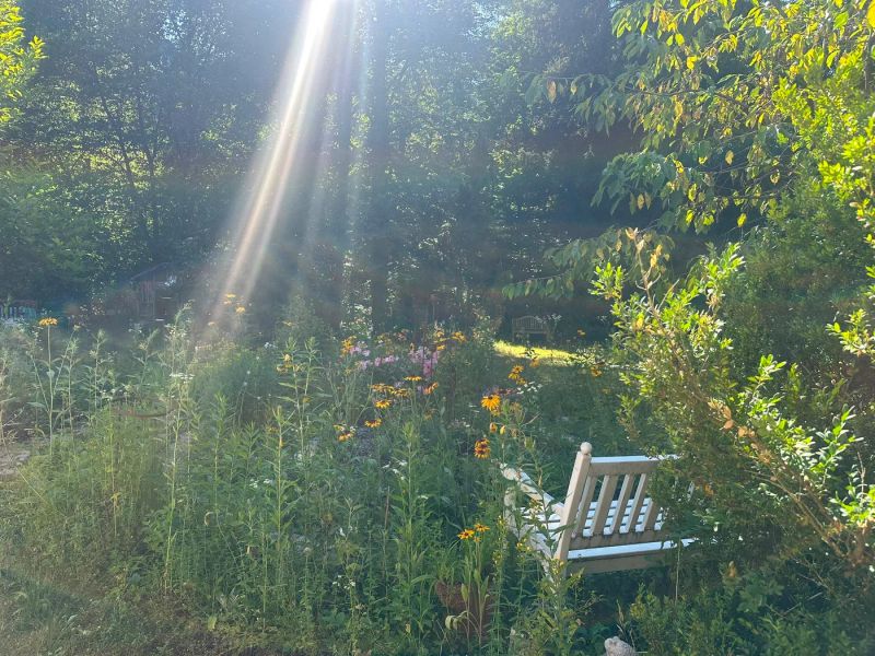Elmuria · Singkreis im Wandelgarten