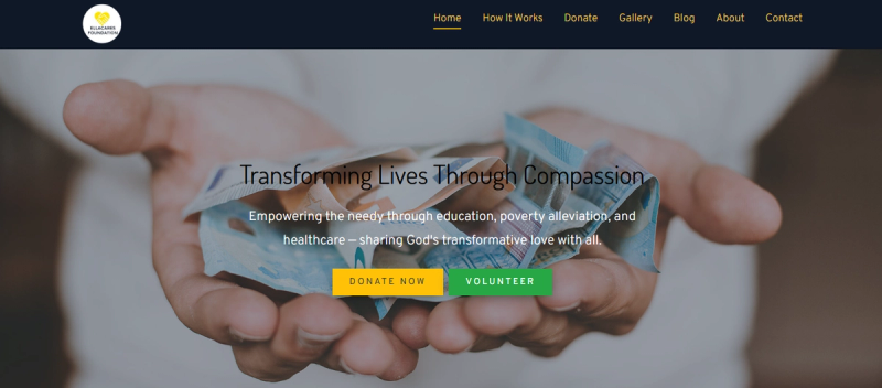 Ella Cares Foundation preview