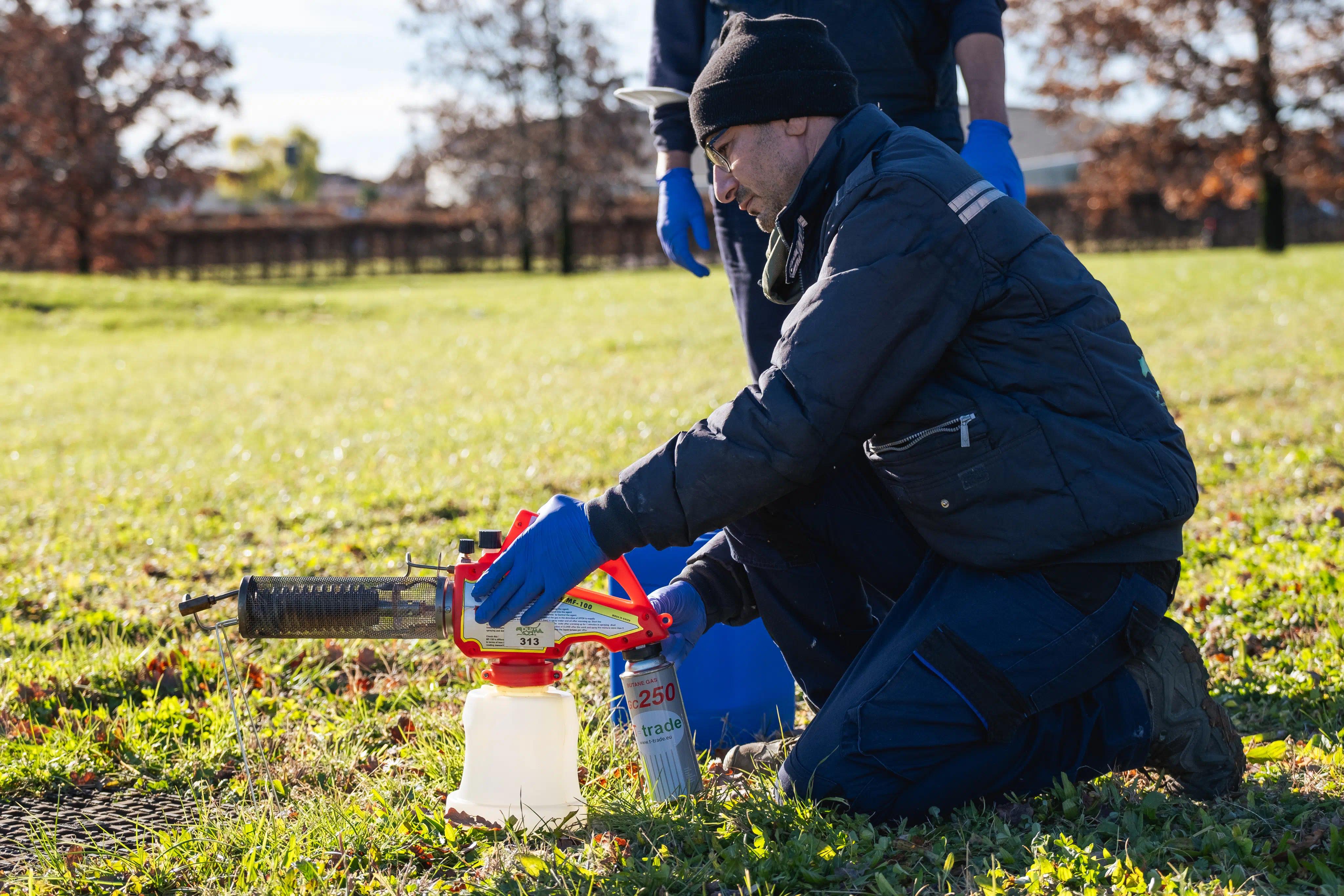 una persona che pulisce un giardino