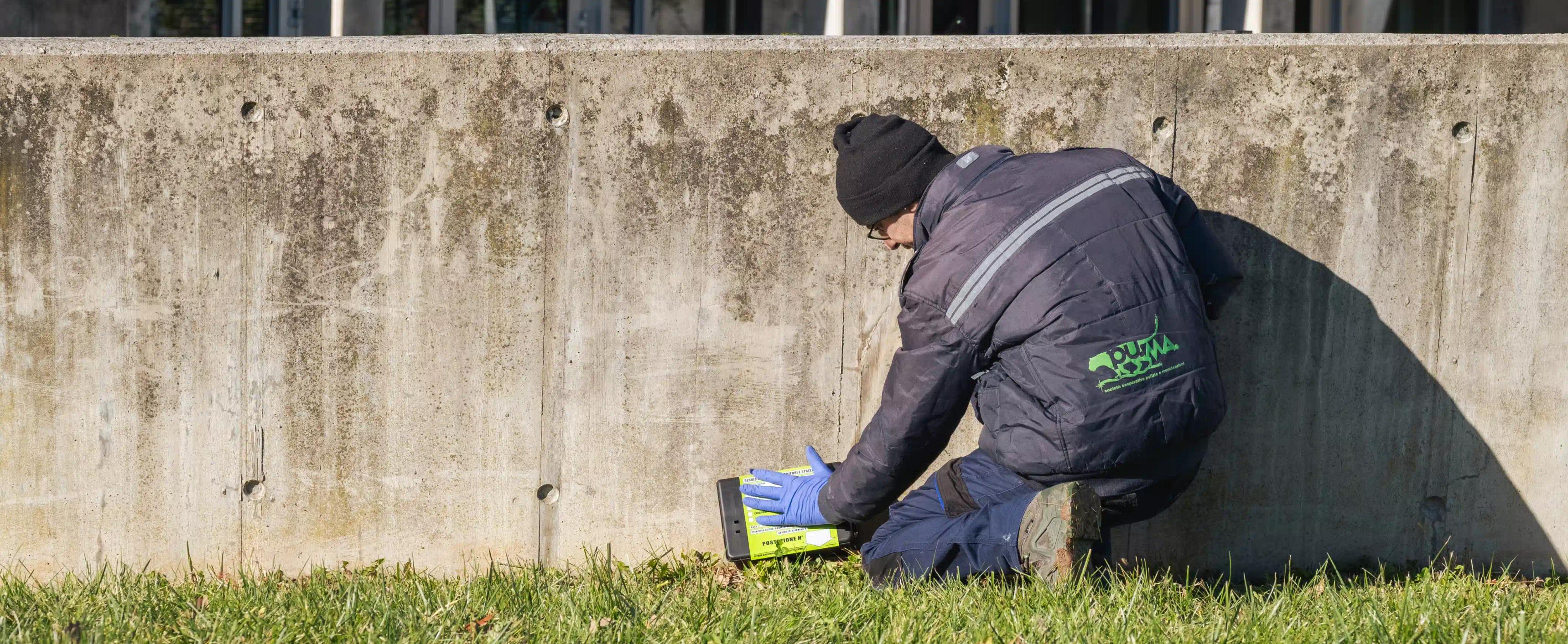 una persona che pulisce un muretto