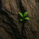 A small green plant growing from a textured rock