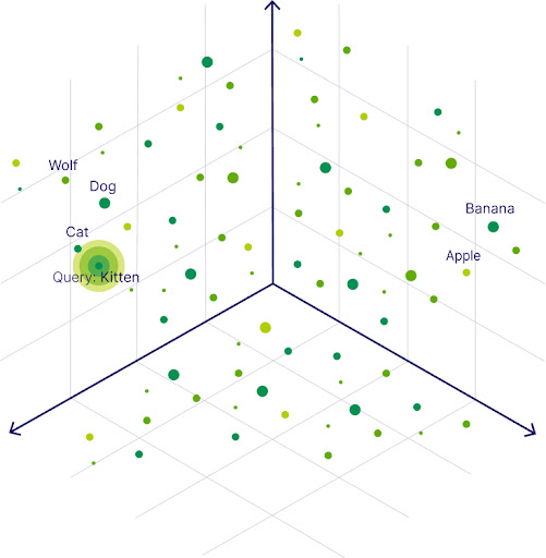 A three dimensional representation of a semantic vector space where the query, kitten, is close to cat, dog, and wolf, but far away from apple and banana.