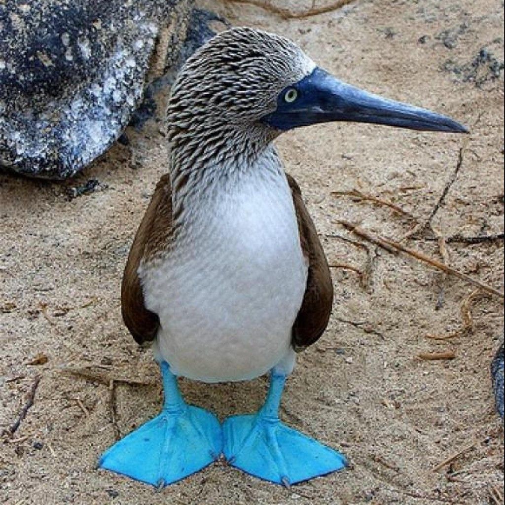 Image of Taryn Pratt