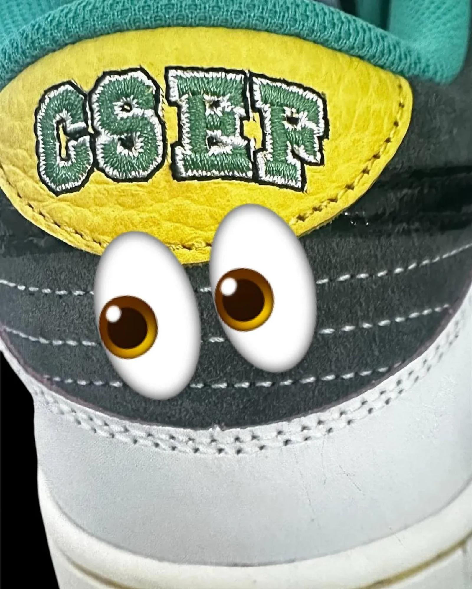 CSEF College Skateboarding Educational Foundation x Nike SB Dunk Low Pro HJ4132-100 Release Date