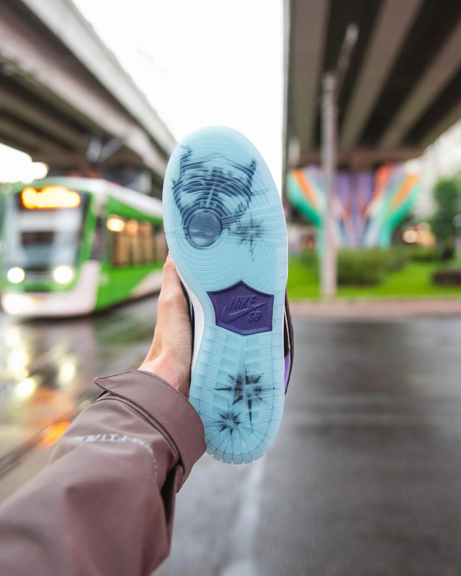 Hayley Wilson x Nike SB Dunk Low Pro QS HJ0513-500