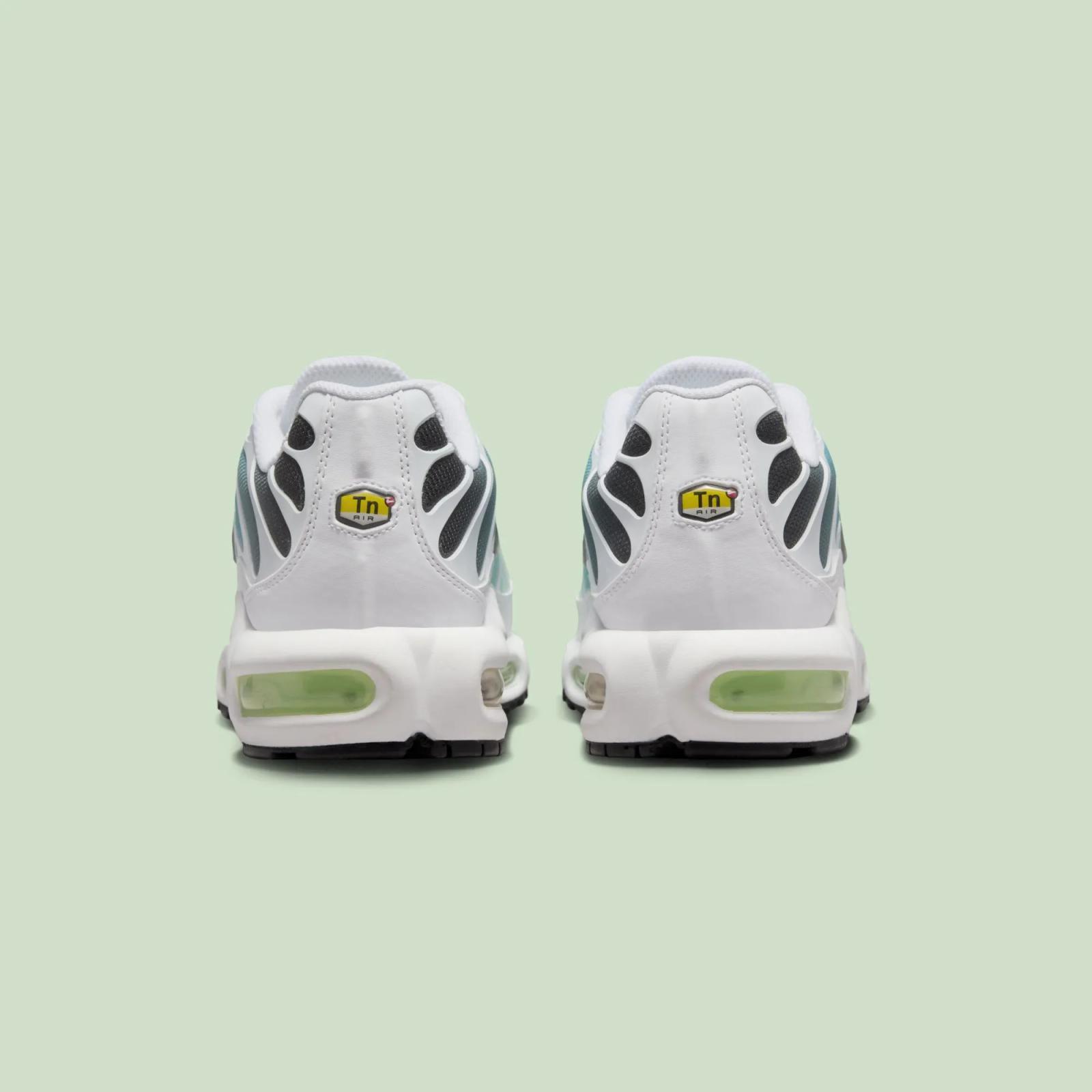 Nike Air Max Plus Body Fade Barely Volt Dusty Cactus DZ3670-102