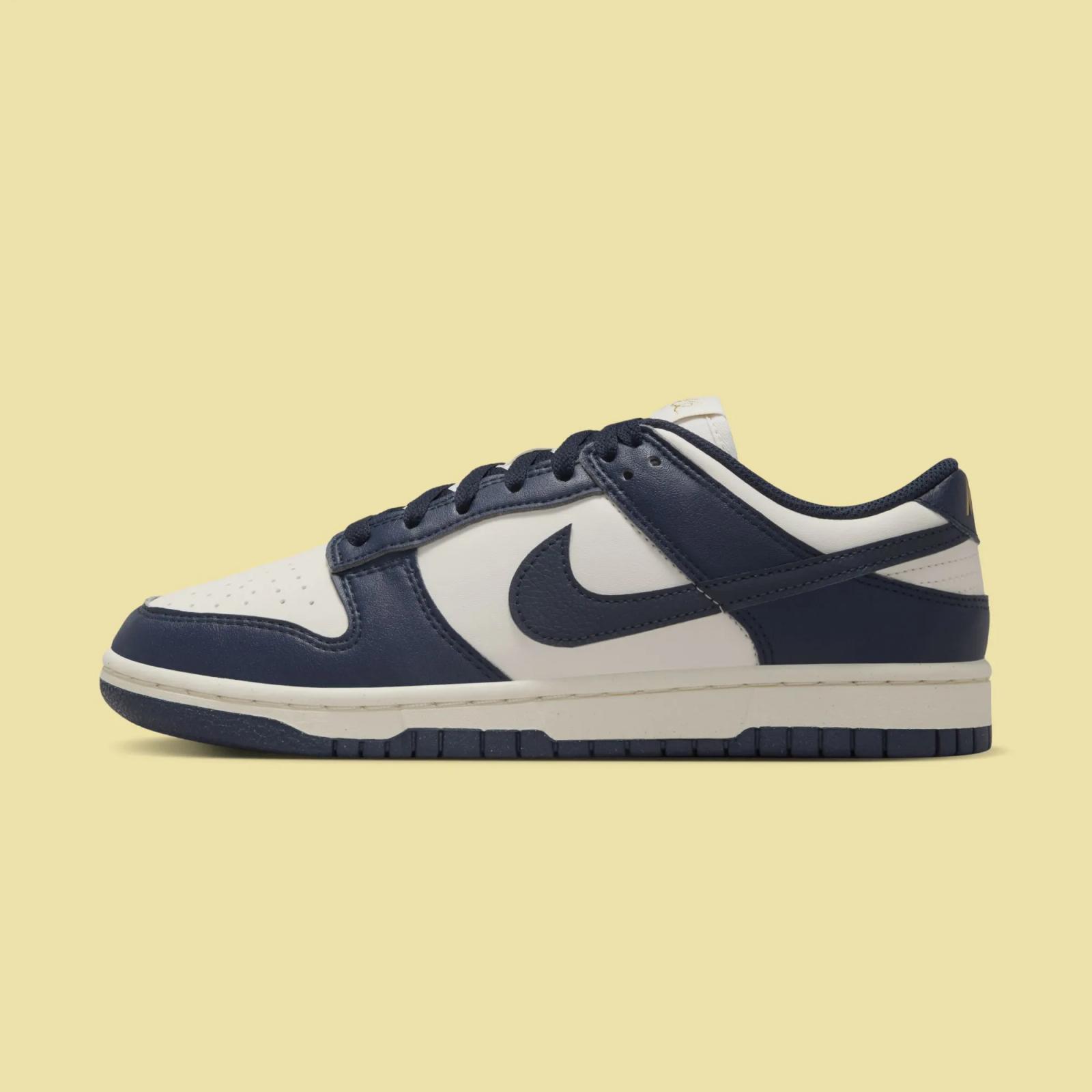 Nike Dunk Low Next Nature Olympic Obsidian