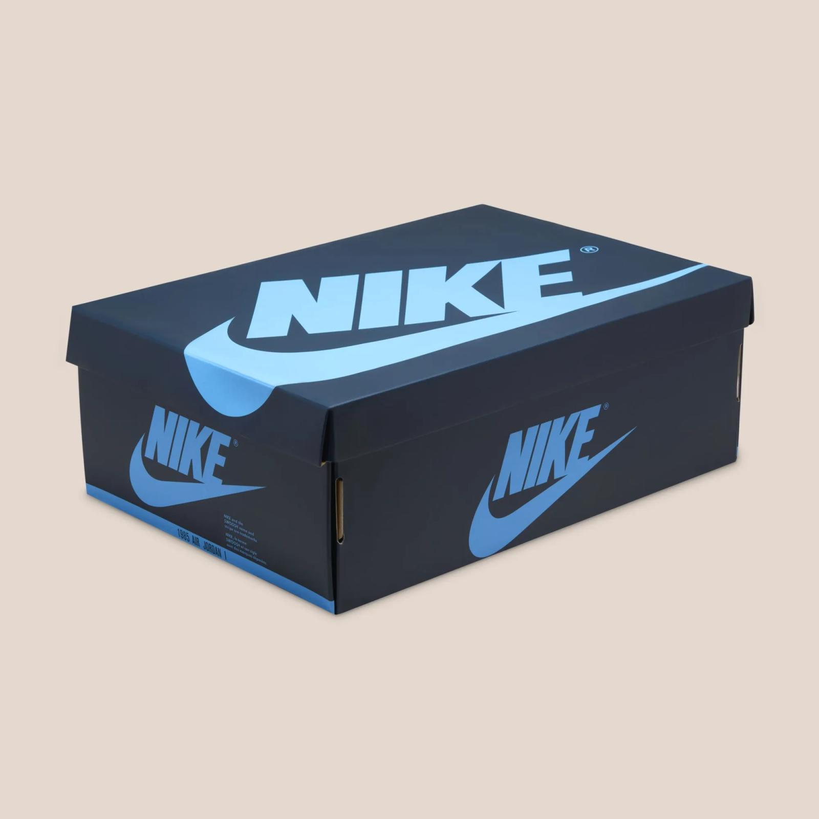 Air Jordan 1 Retro High OG First in Flight FD2596-400