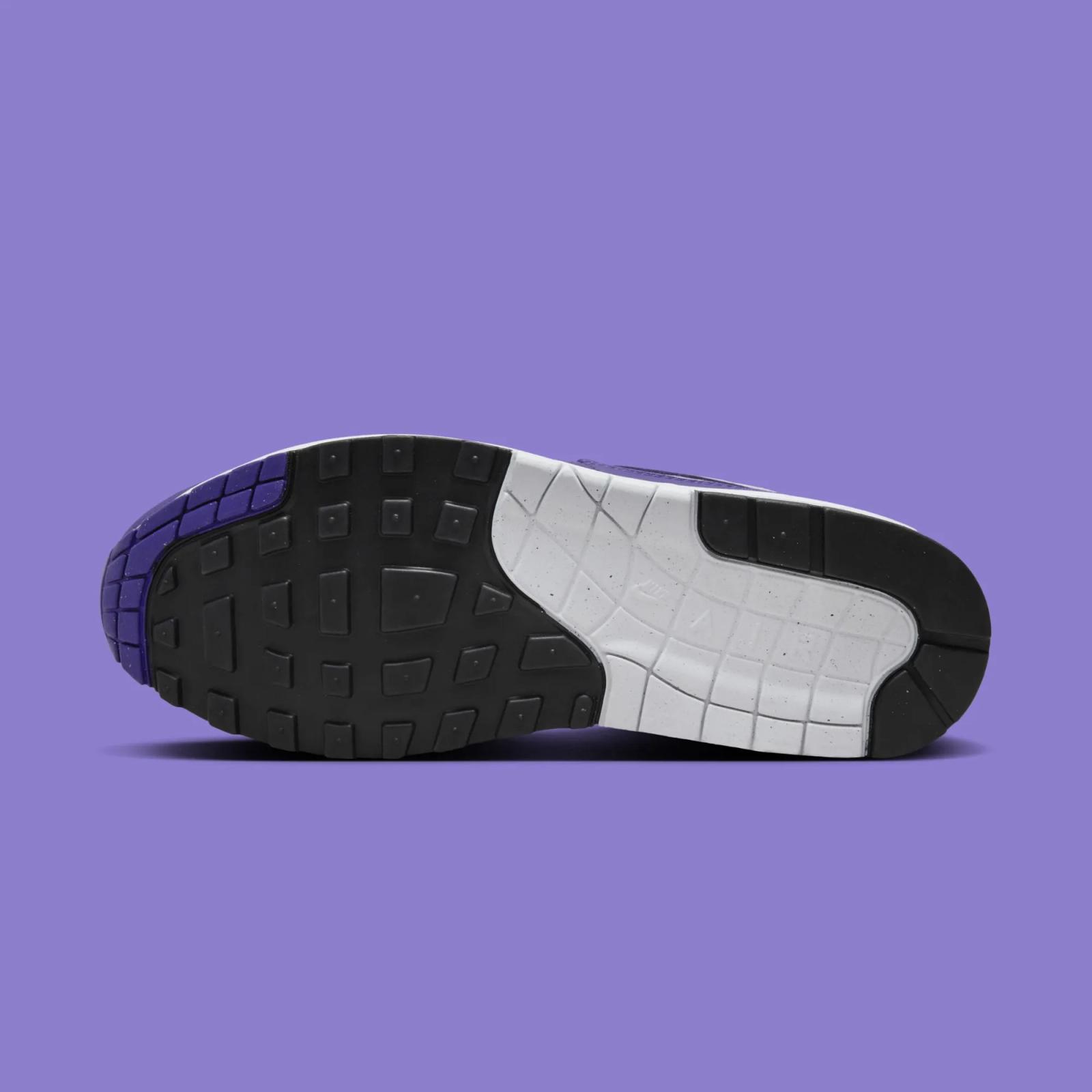 Nike Air Max 1 SC Field Purple DZ4549-101