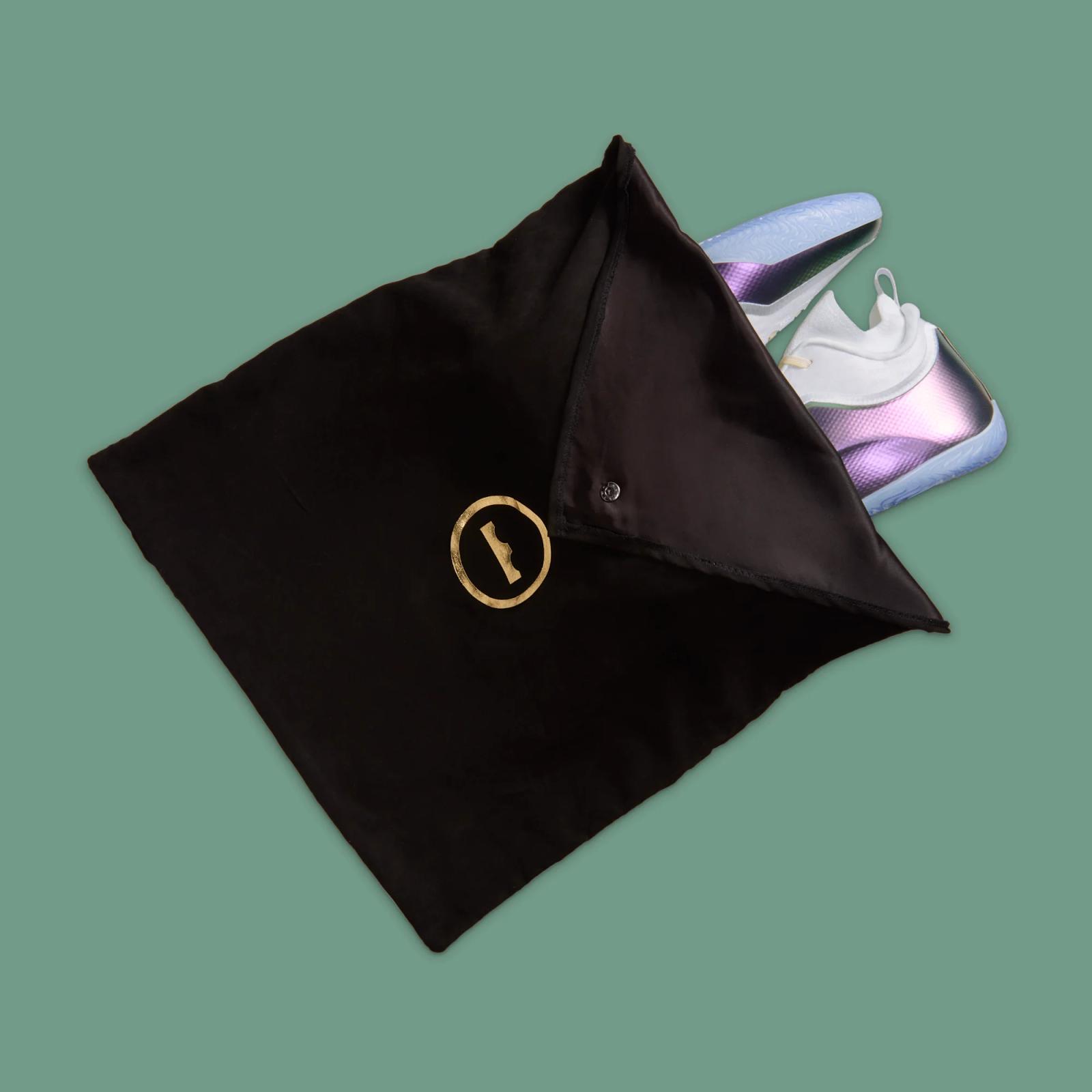 Nike LeBron 23 Elite "For The Record" drops April 10, 2026