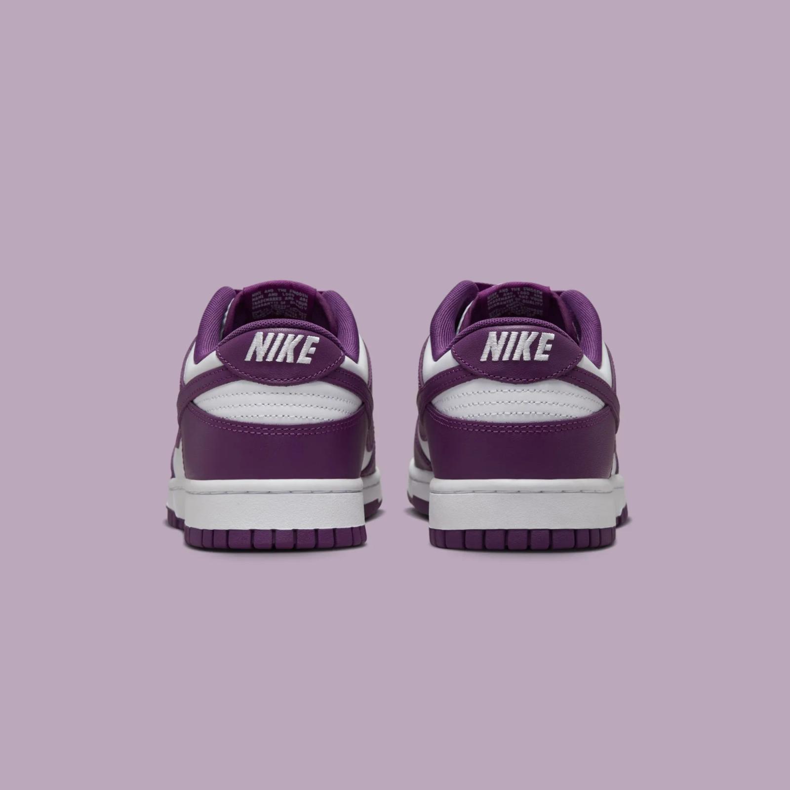 Nike Dunk Low Retro Viotech / White DV0833-107