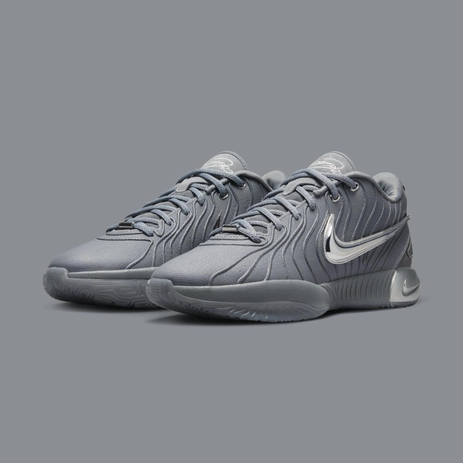 Nike LeBron 21 Cool Grey / Metallic Silver HF5353-001