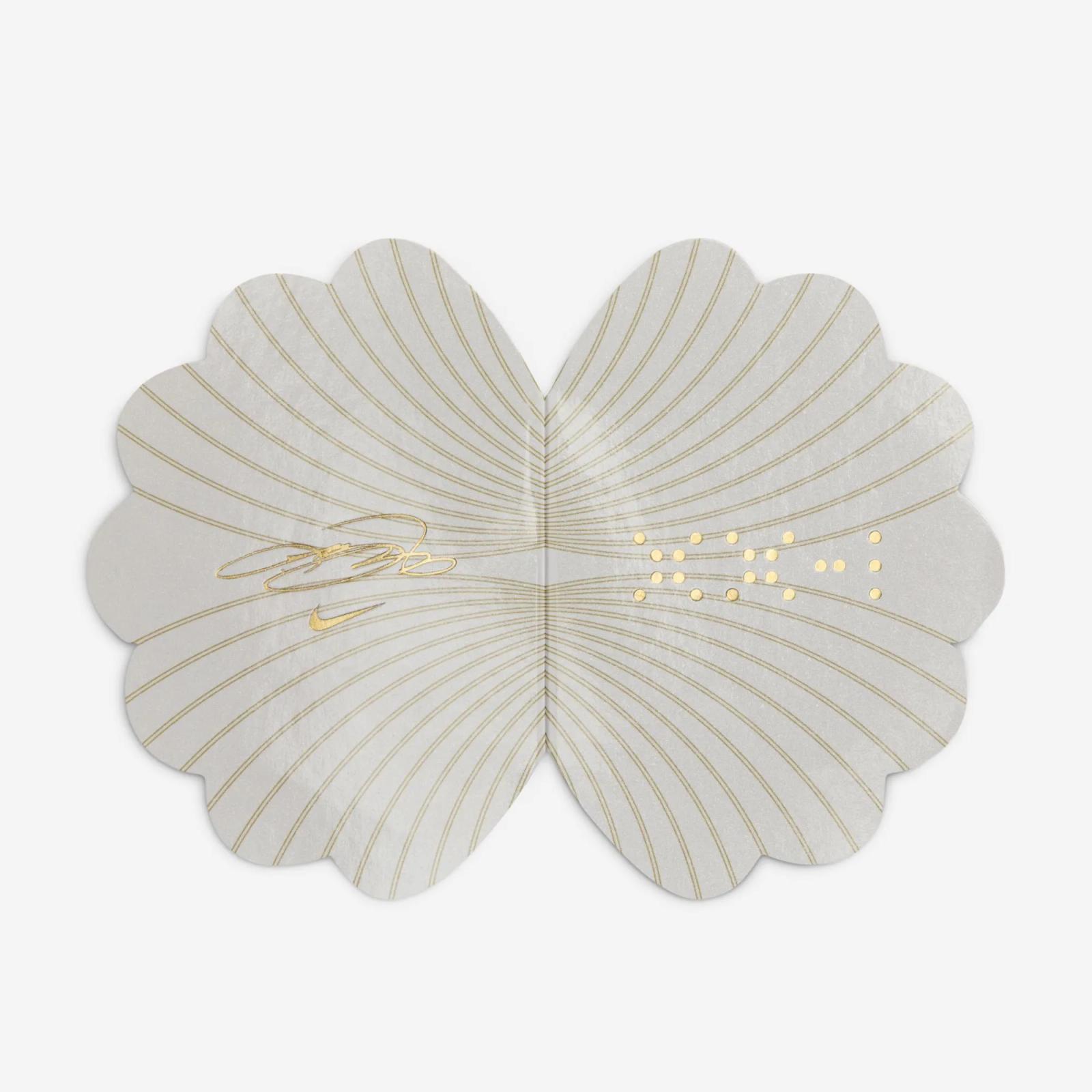 Nike LeBron 21 Multi-Color HF5353-400