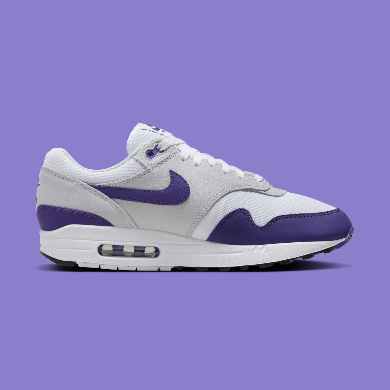 Nike Air Max 1 SC Field Purple DZ4549-101