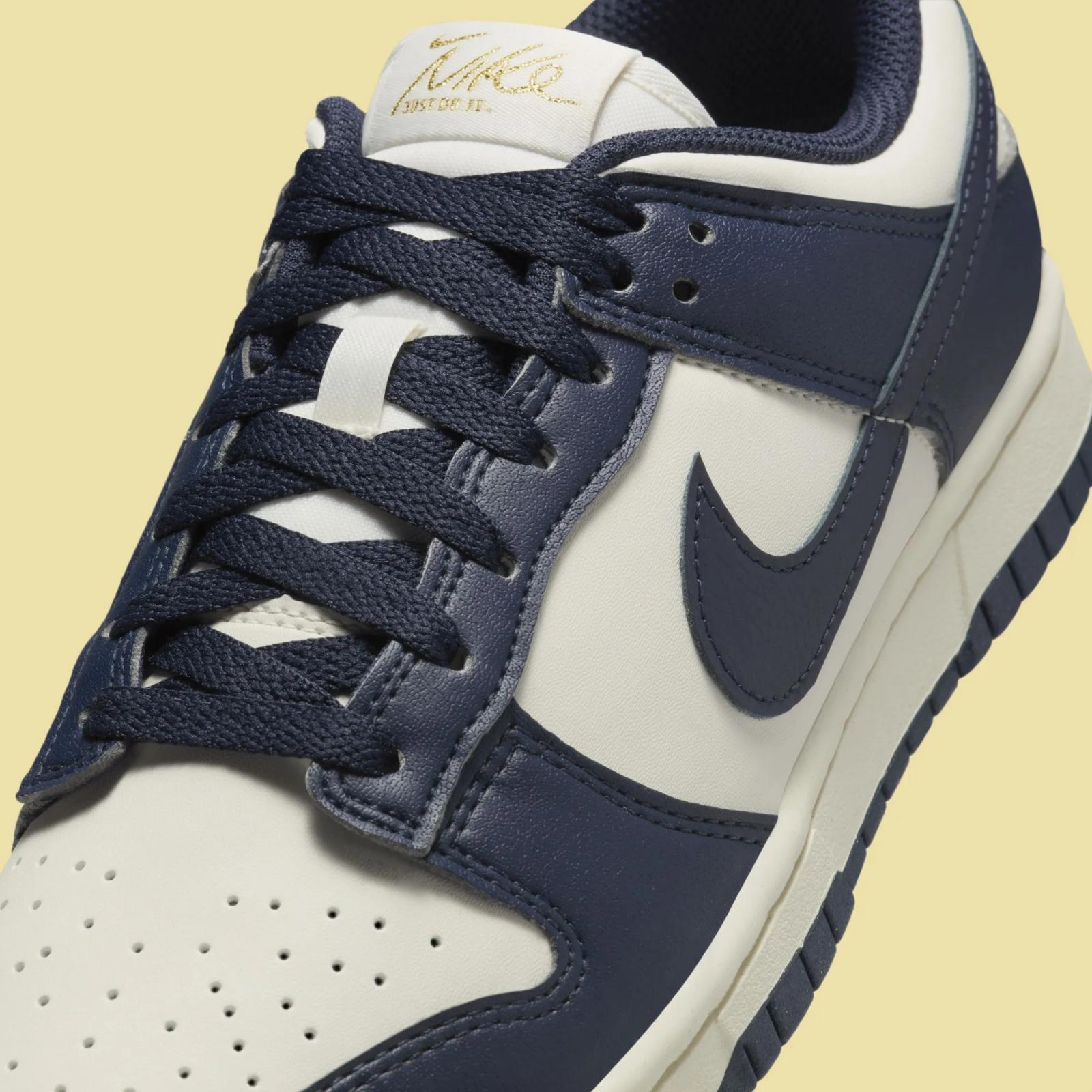 Nike Dunk Low Next Nature Olympic Obsidian FZ6770-001
