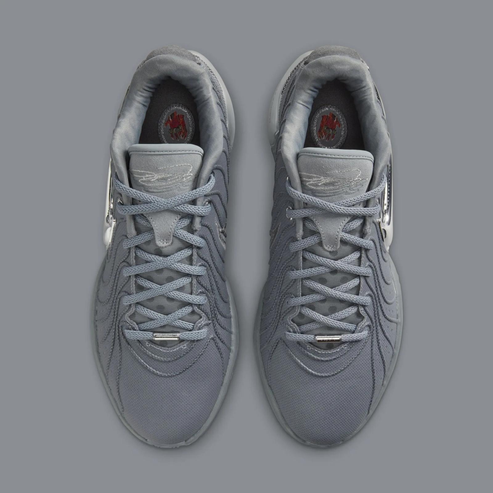 Nike LeBron 21 Cool Grey / Metallic Silver HF5353-001