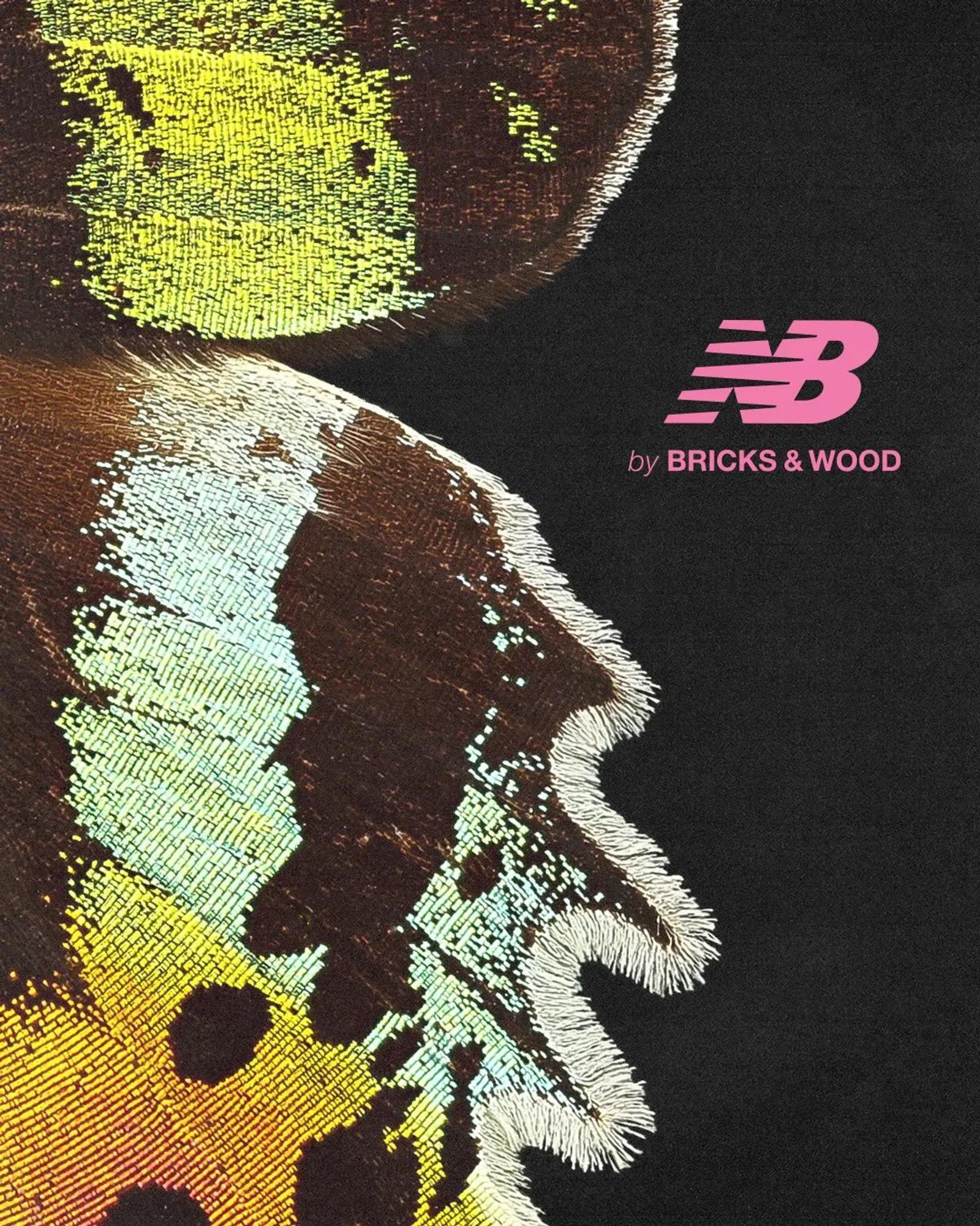 Bricks & Wood x New Balance 1906 Release Date 2024