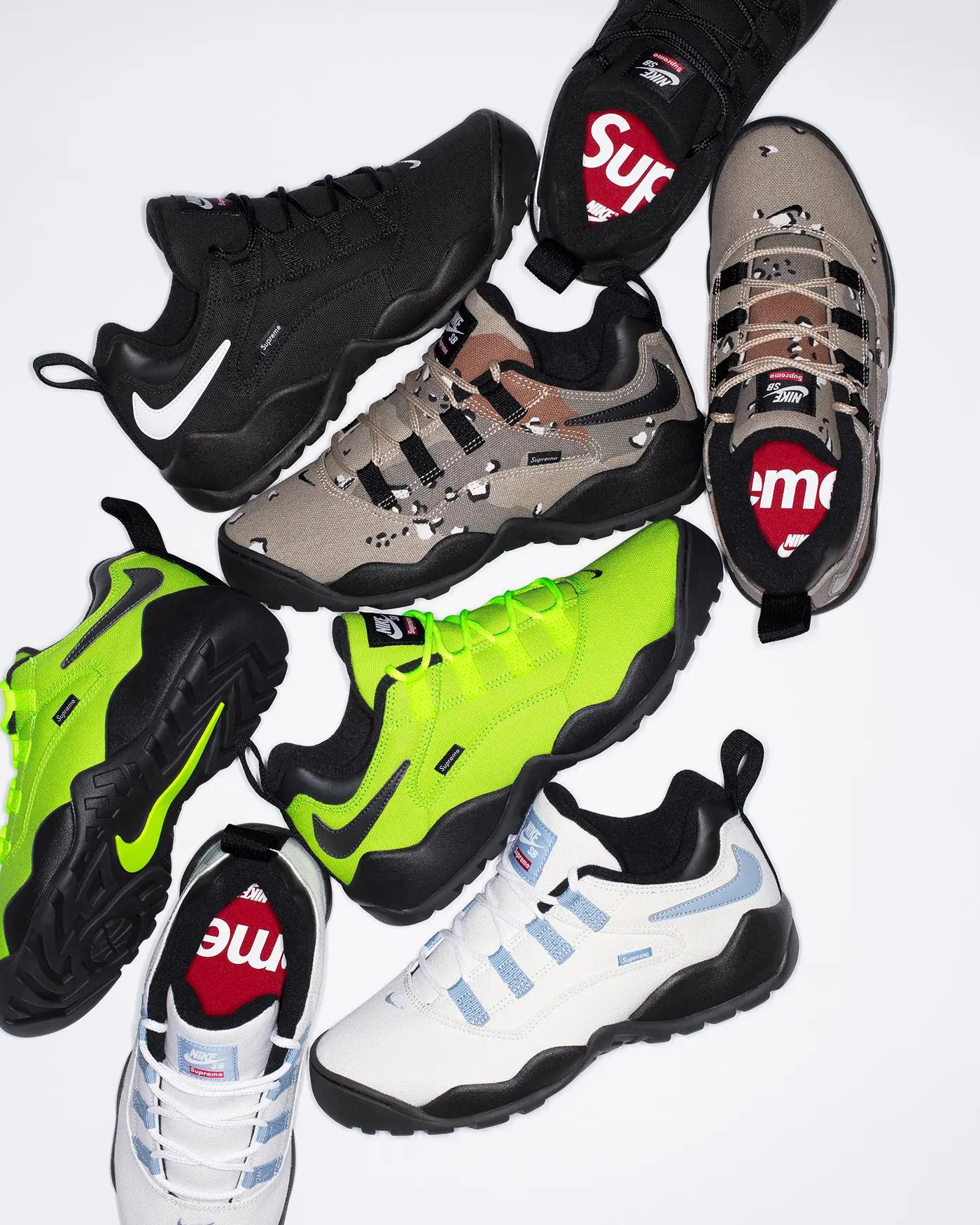 Supreme x Nike SB Darwin Low