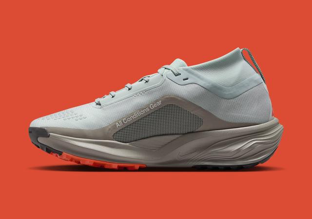 Nike ACG Pegasus Trail Gore-Tex W "Light Silver" Light Silver/Light Silver/Light Army/Safety Orange/Medium Ash