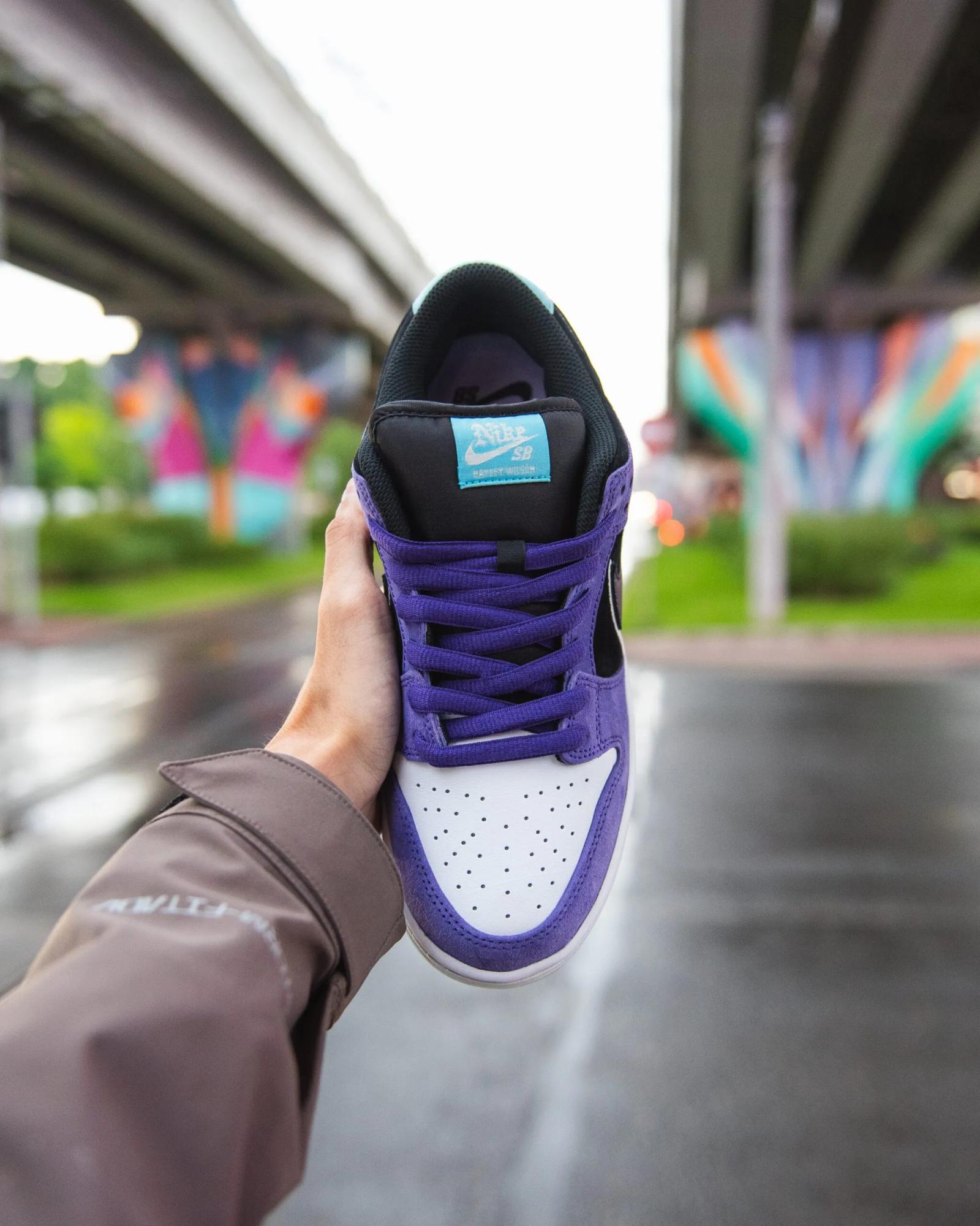 Hayley Wilson x Nike SB Dunk Low Pro QS HJ0513-500