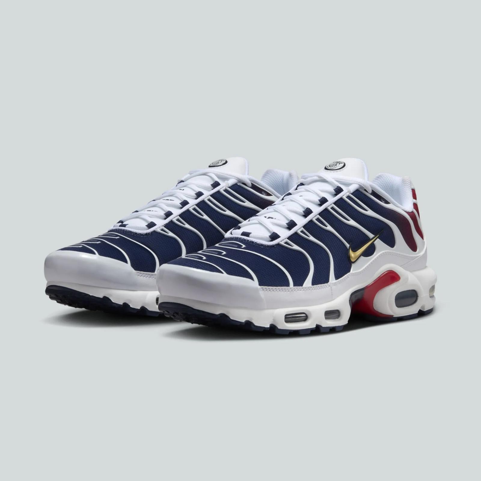 Paris Saint-Germain x Nike Air Max Plus FZ4776-100