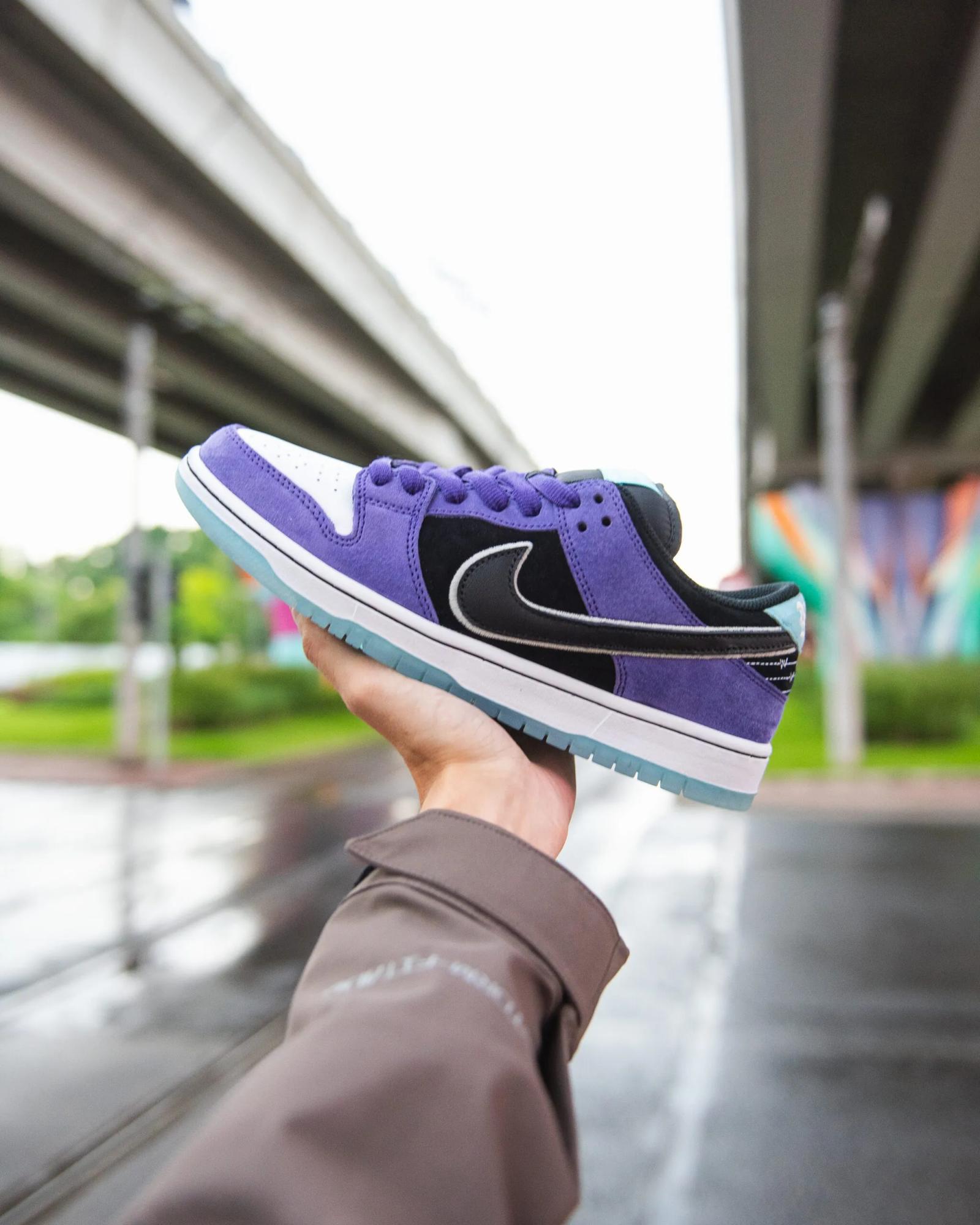 Hayley Wilson x Nike SB Dunk Low Pro QS HJ0513-500