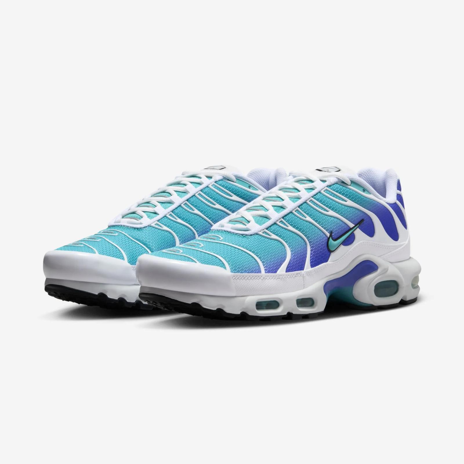 Nike Air Max Plus Dusty Cactus DM0032-102