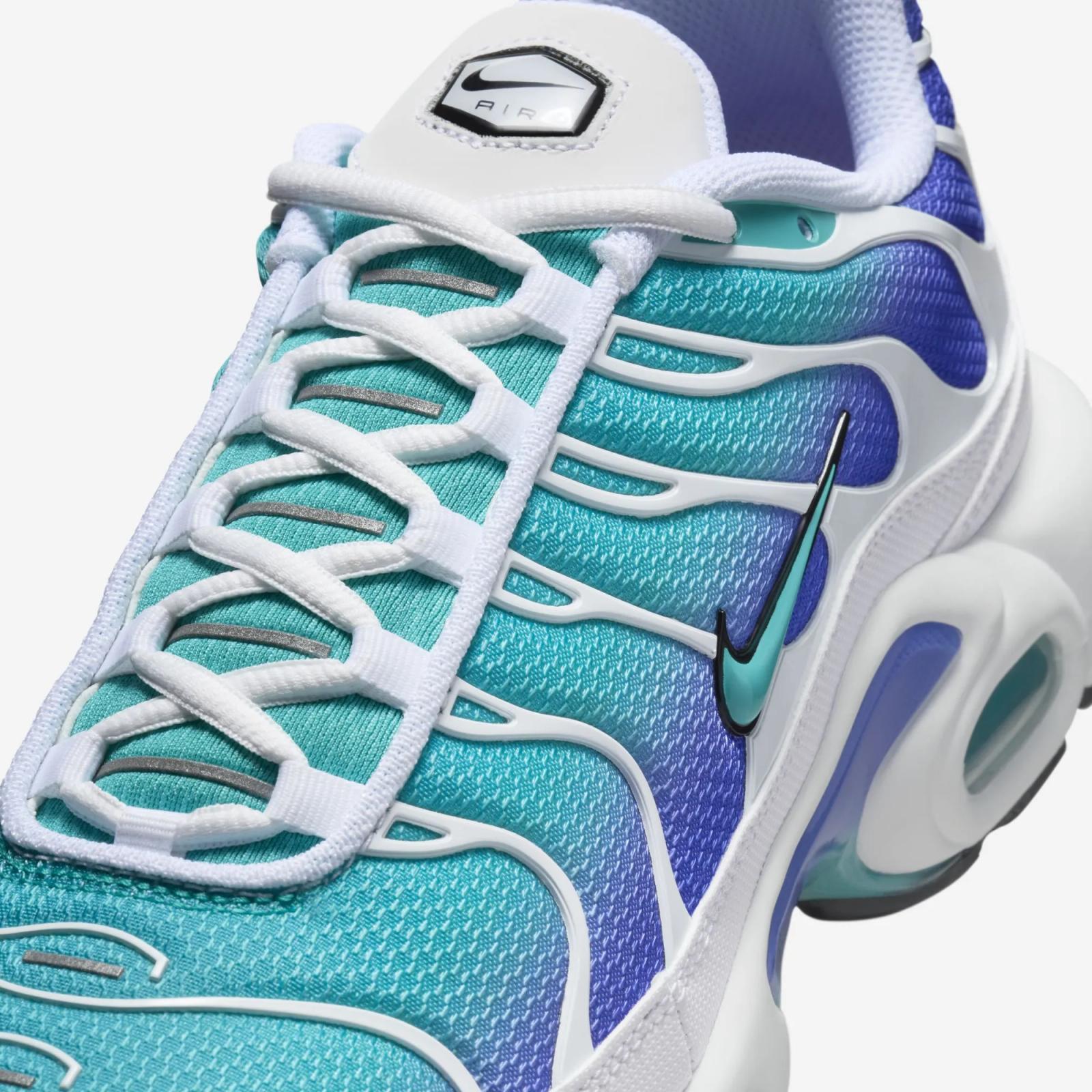 Nike Air Max Plus Dusty Cactus DM0032-102