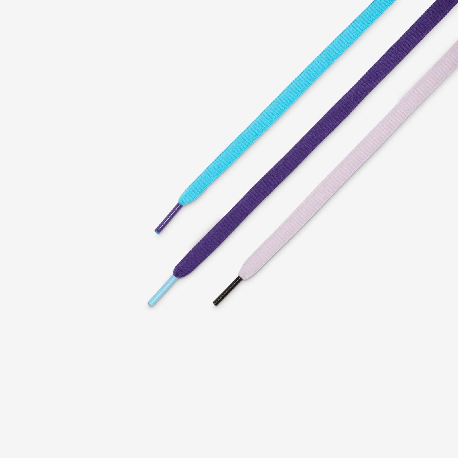 Hayley Wilson x Nike SB Dunk Low Pro QS HJ0513-500 Release Date June 7th 2025