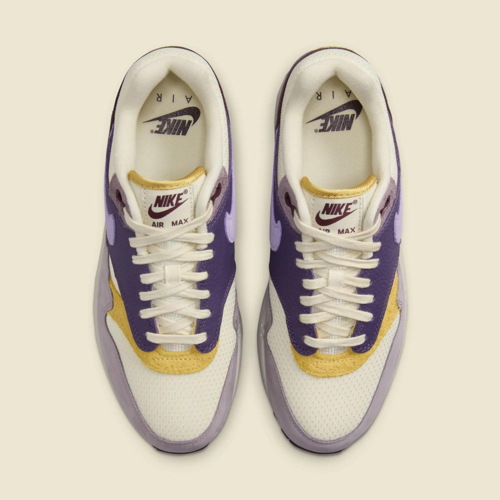 Nike Air Max 1 '87 Dark Raisin HQ4051-500