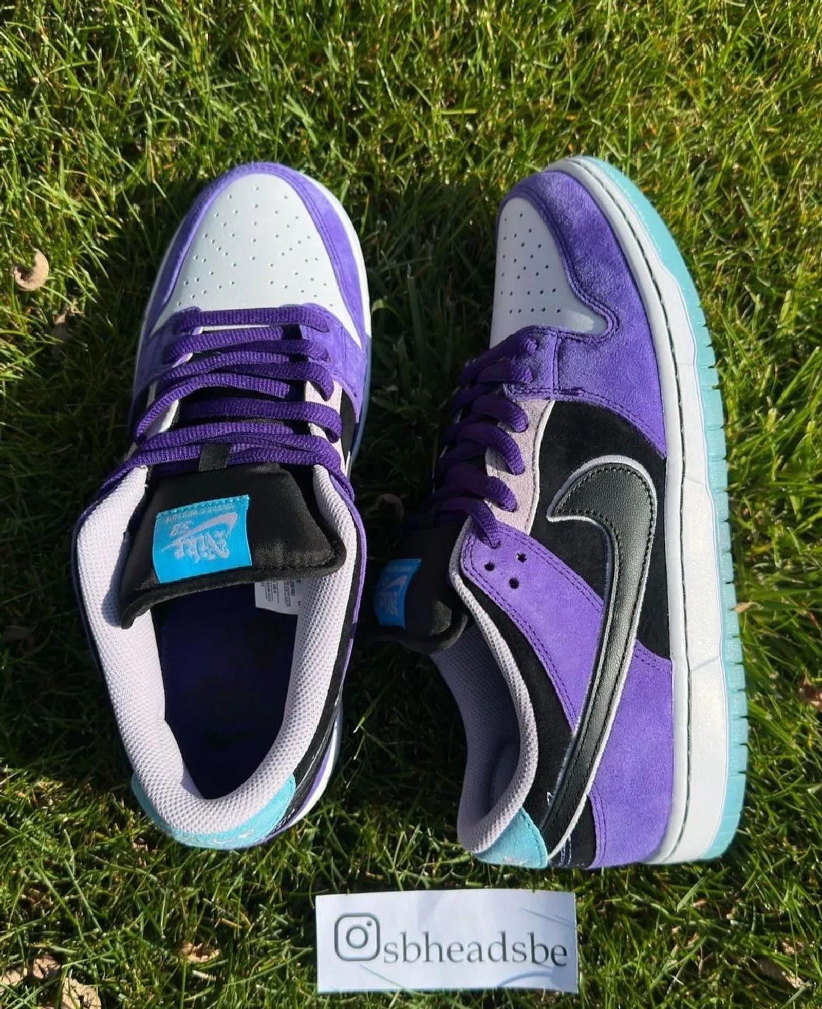 Hayley Wilson x Nike SB Dunk Low Pro QS HJ0513-500